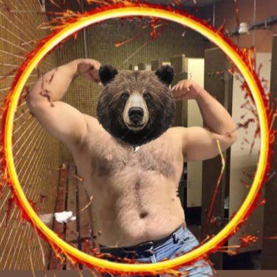 UrsoBanheiro's profile picture