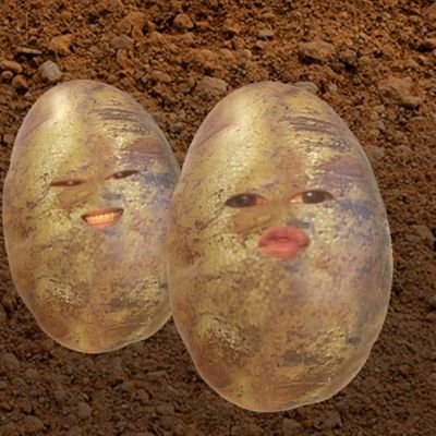 ddailynuts's profile picture