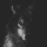 САМРАК's profile picture