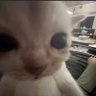 sexta feira a noite profil fotoğrafı