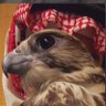 رايد الروقي 的头像