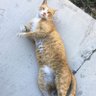 Shimj profil fotoğrafı