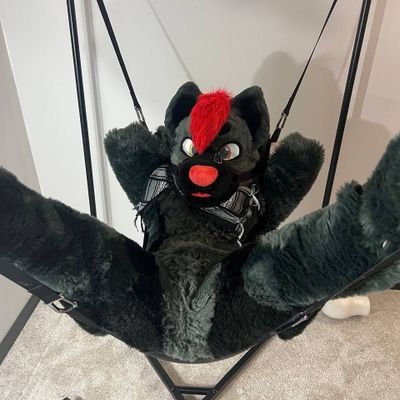 Loki 🔜 TFF, FWA's profile picture