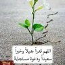 Profilbild von ابن اليمن ...⚘️