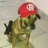 Profilbild von churrasco flamengo