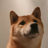 Profilbild von Classic Liberal Dane