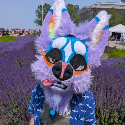 Sherbert's profile picture