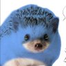 Sonic T.'s profile picture