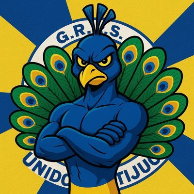 AcervoTijuca's profile picture