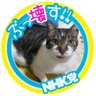 Profilbild von minami