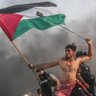 Profilbild von Annys Days Lula da Silva 🇵🇸 🇧🇷🇷🇺🇵🇸🇨🇦