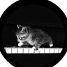 こまり's profile picture
