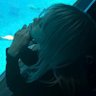 Profilbild von 山瀬まゆ🐨