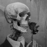 Profilbild von Profe Castro So