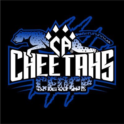 CACheetahs's profile picture