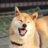 Profilbild von えなちん
