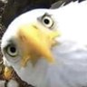 The Shorter Foley's profile picture