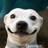 Jtone4545's profile picture