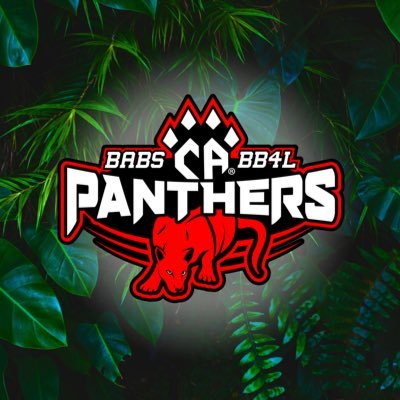 CA Panthers's profile picture