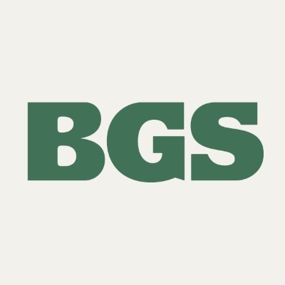 TheBGSituation's profile picture