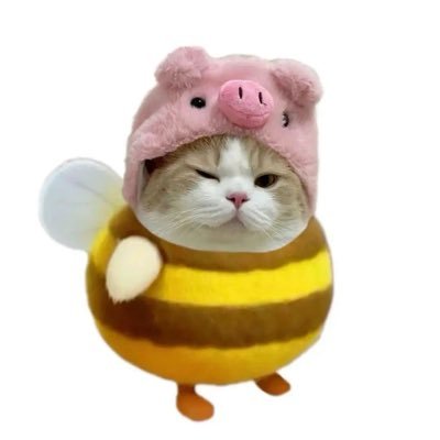 kerduscoksu's profile picture