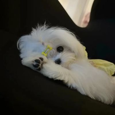 饭困宝宝's profile picture