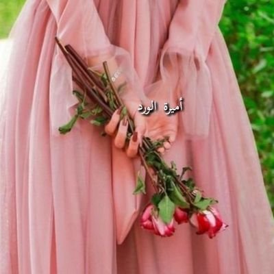 أميرة الورد 🪷🍃's profile picture