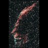 Robert S.'s profile picture