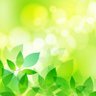 Фото профиля すずはら