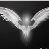 Ailes2lenfertoucherparlagrace's profile picture