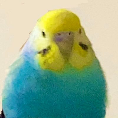 ranran556677's profile picture