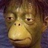 Profilbild von web3黑奴