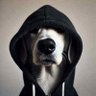 Joseph Farley's profile picture