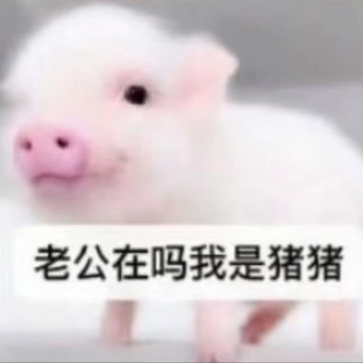恬恬ovo's profile picture