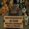 Molatore's profile picture