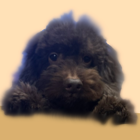 AshiKaga3D's profile picture