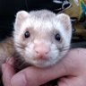 オヤジさん's profile picture