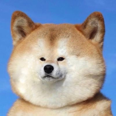 knkyt_'s profile picture