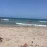 Summer fun's profile picture