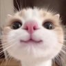 葡萄 profil fotoğrafı