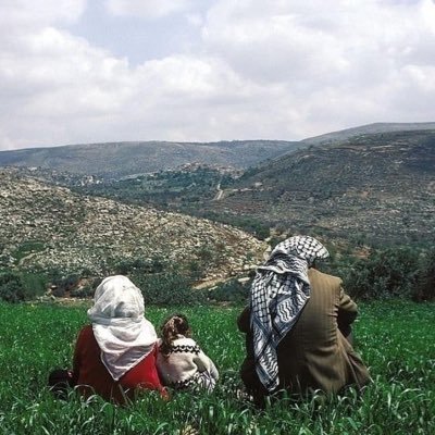 جوليا🇱🇧 🇵🇸's profile picture
