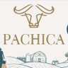 Pachica's profile picture