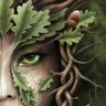 Profilbild von Driade🌺🍃
