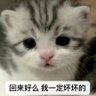 鱿鱼丝 的头像