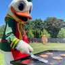 Cali_webfoot🦆 profil fotoğrafı