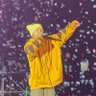 winter bear's profile picture
