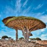 Фото профиля Ziad yosef