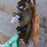 Mai sorobhi's profile picture