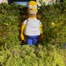 Crazyfern 🇨🇦🇺🇸's profile picture