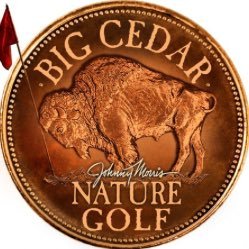GolfBigCedar's profile picture